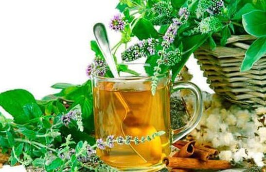Herbs from psoriasis